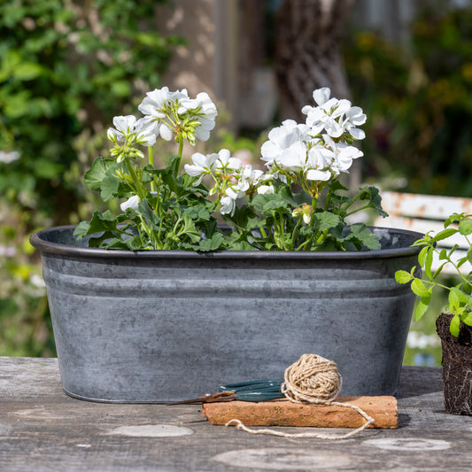 Planter - Zinc Oval