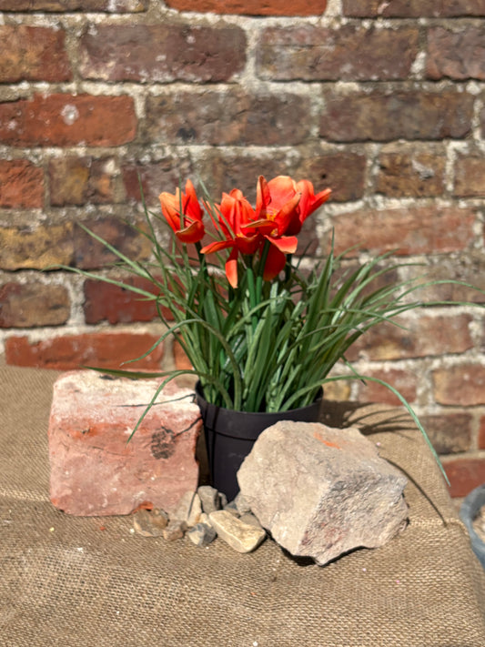 Artificial Tulip in black pot