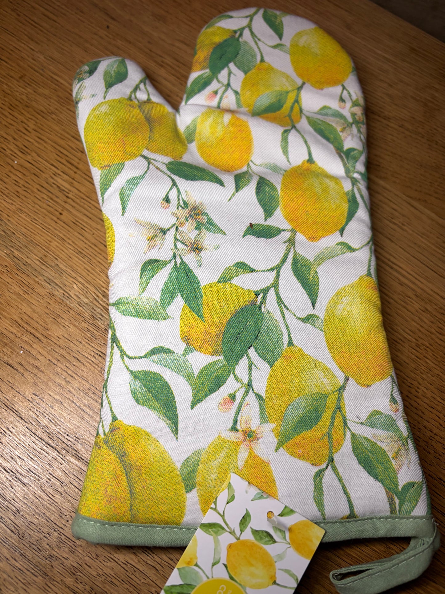 Oven Gloves