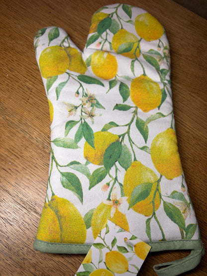Oven Gloves