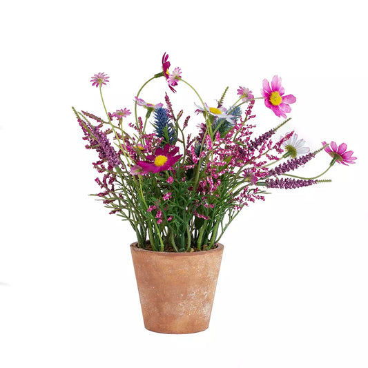 Wild Flowers in a pot - Pink