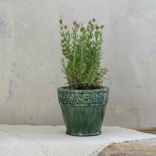 Green Planter - Large