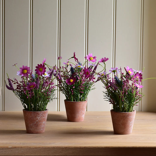 Floral : Wild Flowers in a pot - Pink