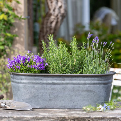 Planter - Zinc Oval