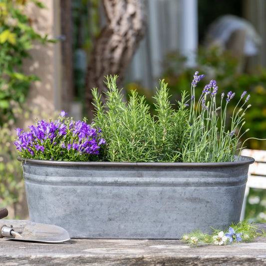 Planter - Zinc Oval